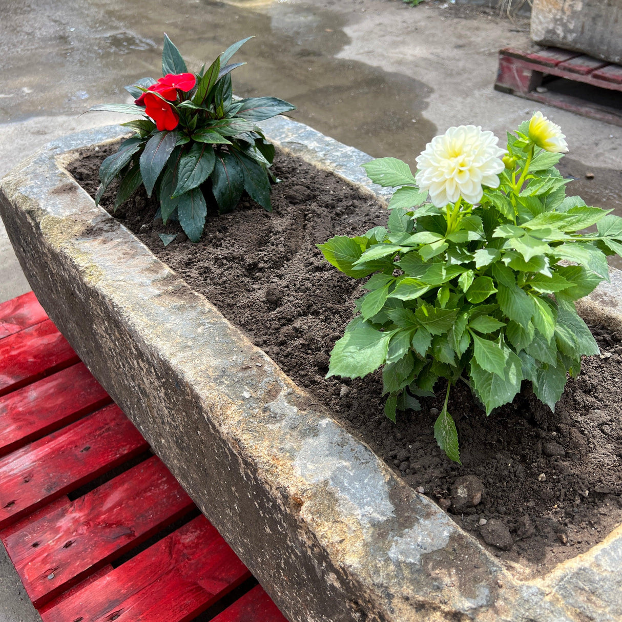 Reclaimed Stone Trough / Planter - No.12 - Reclaimed Brick Company