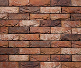Vandersanden Alexia Rustic Facing Brick - Reclaimed Brick Company
