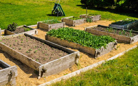 Building Raised Beds Made with Sleepers: A Complete Guide