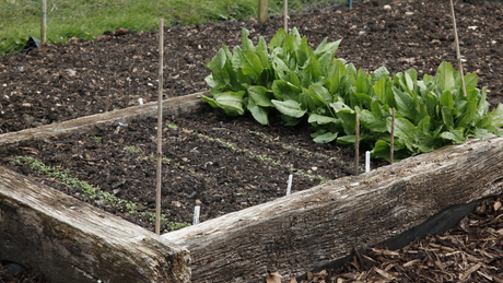 Creative Ideas for Using Railway Sleepers in the Garden Design