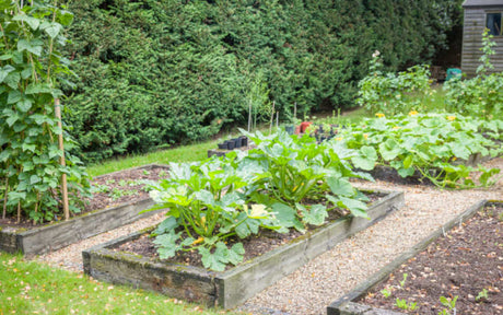 Building Raised Beds Made with Sleepers: A Complete Guide