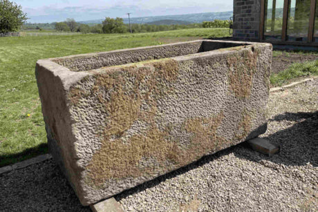 The Enduring Allure of Reclaimed Stone Trough Planters