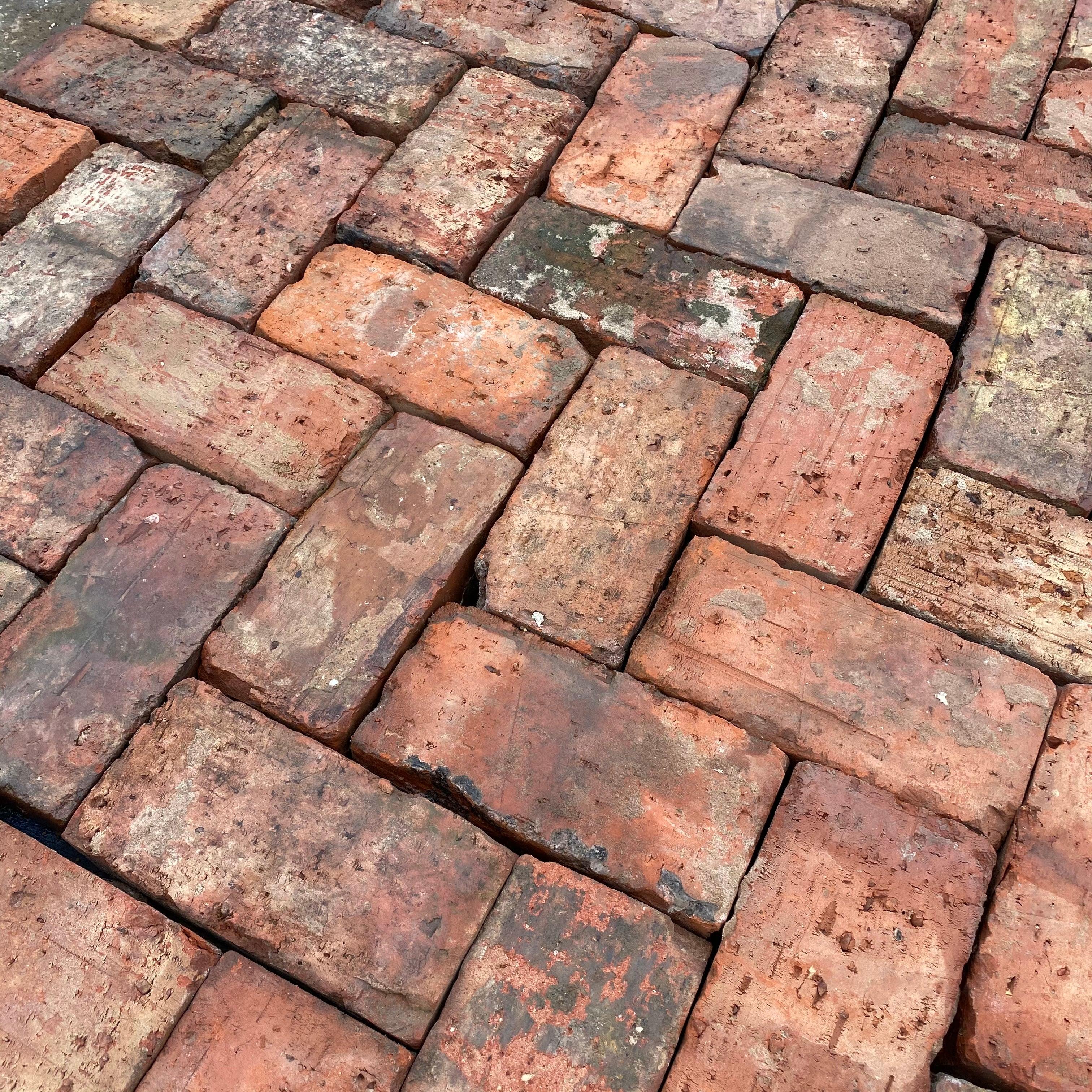 Garden Path Created Using Reclaimed Clay Paving Bricks, Bridgwater Som ...