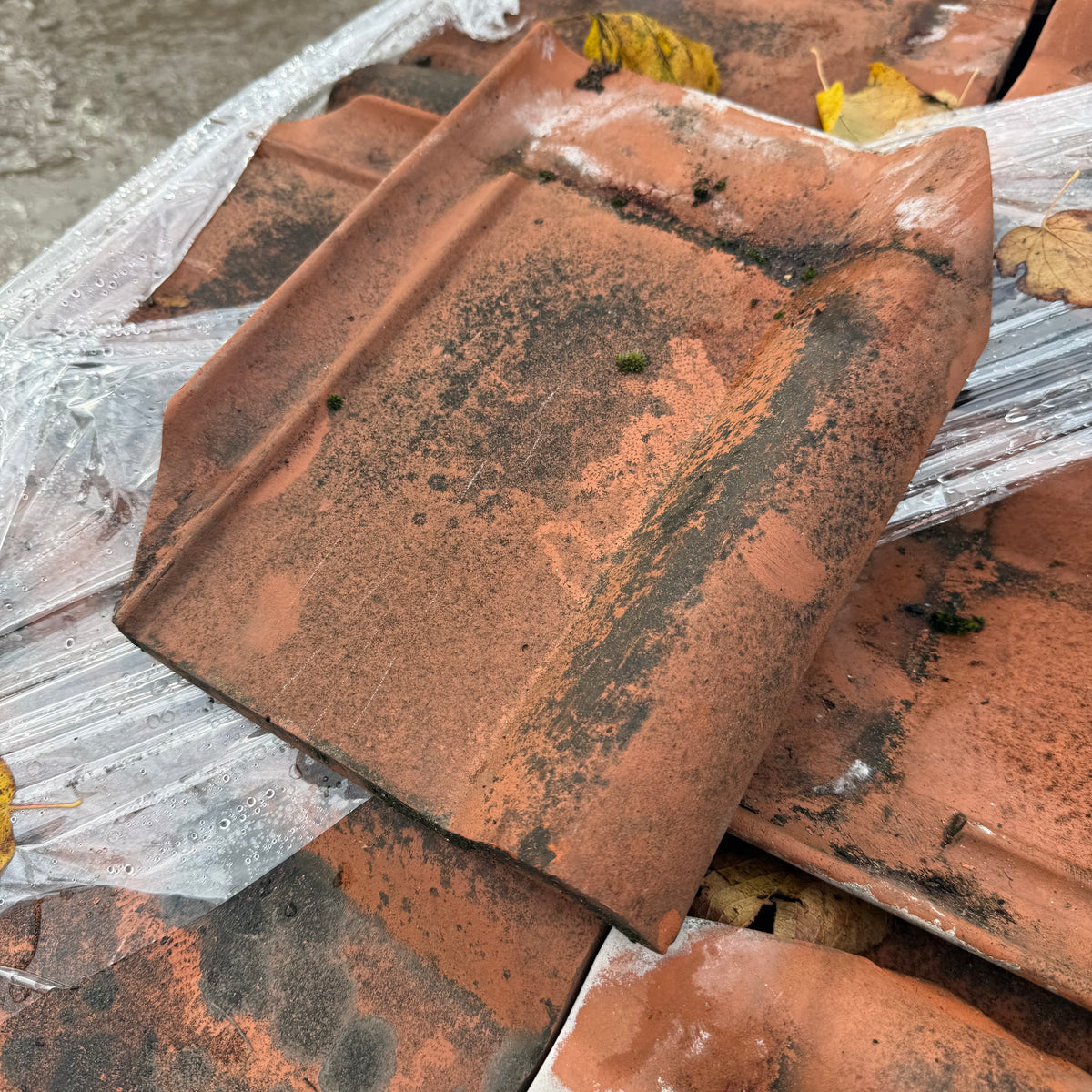 Reclaimed Pan Tile