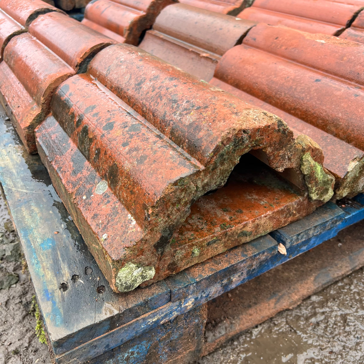 Reclaimed Terracotta Red Wall Coping - Job Lot