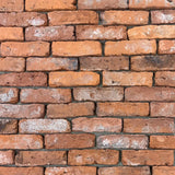 Reclaimed Tudor Brick Slips  - Handmade Brick Slips Cut From Real Reclaimed Bricks