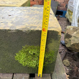 Reclaimed Stone Statue Plinth