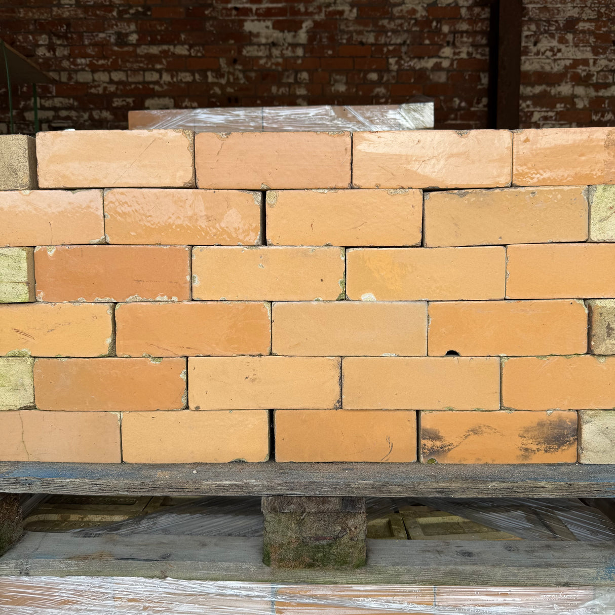 Reclaimed Beige Glazed Bricks