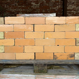 Reclaimed Beige Glazed Bricks
