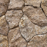 Stone Cladding 13