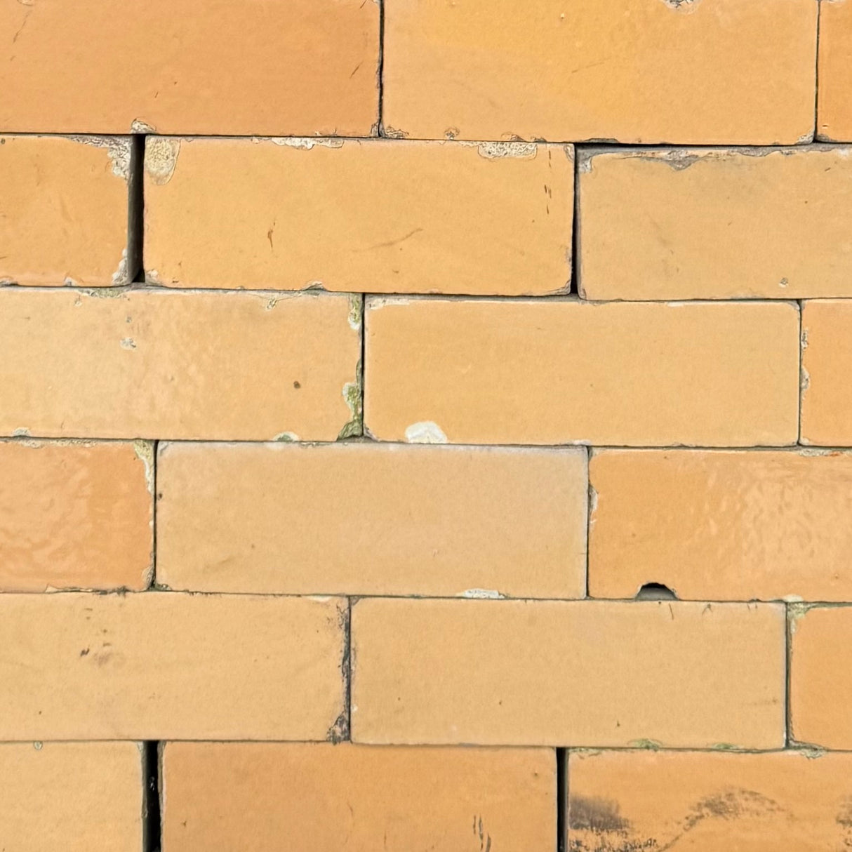 Reclaimed Beige Glazed Bricks