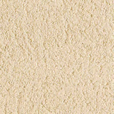 Natural Lime Mortar