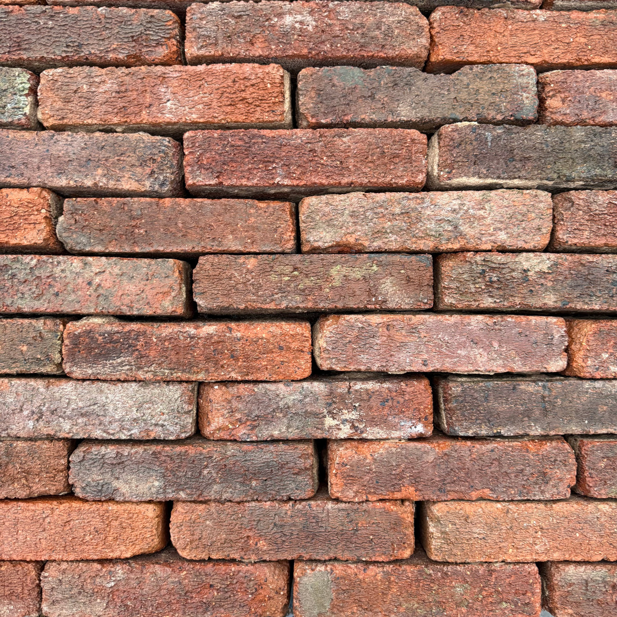 Reclaimed 55mm Rustic Bricks | Pack of 250 Bricks | Free Delivery