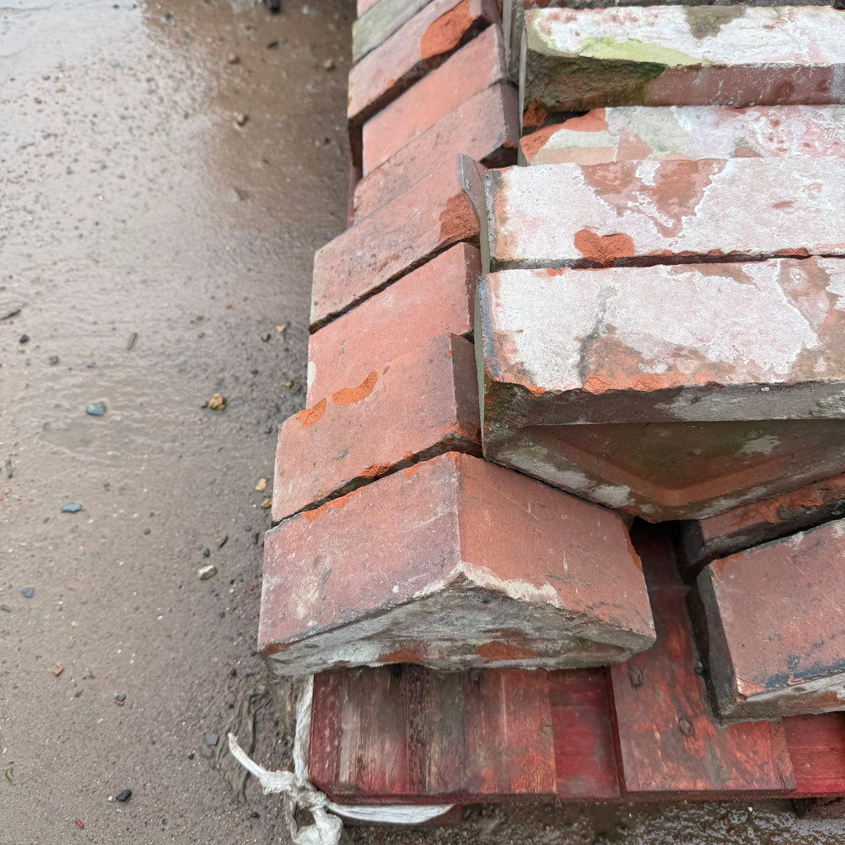 Reclaimed Red Triangle Coping Bricks