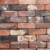 Reclaimed Urban Handmade Brick Slips