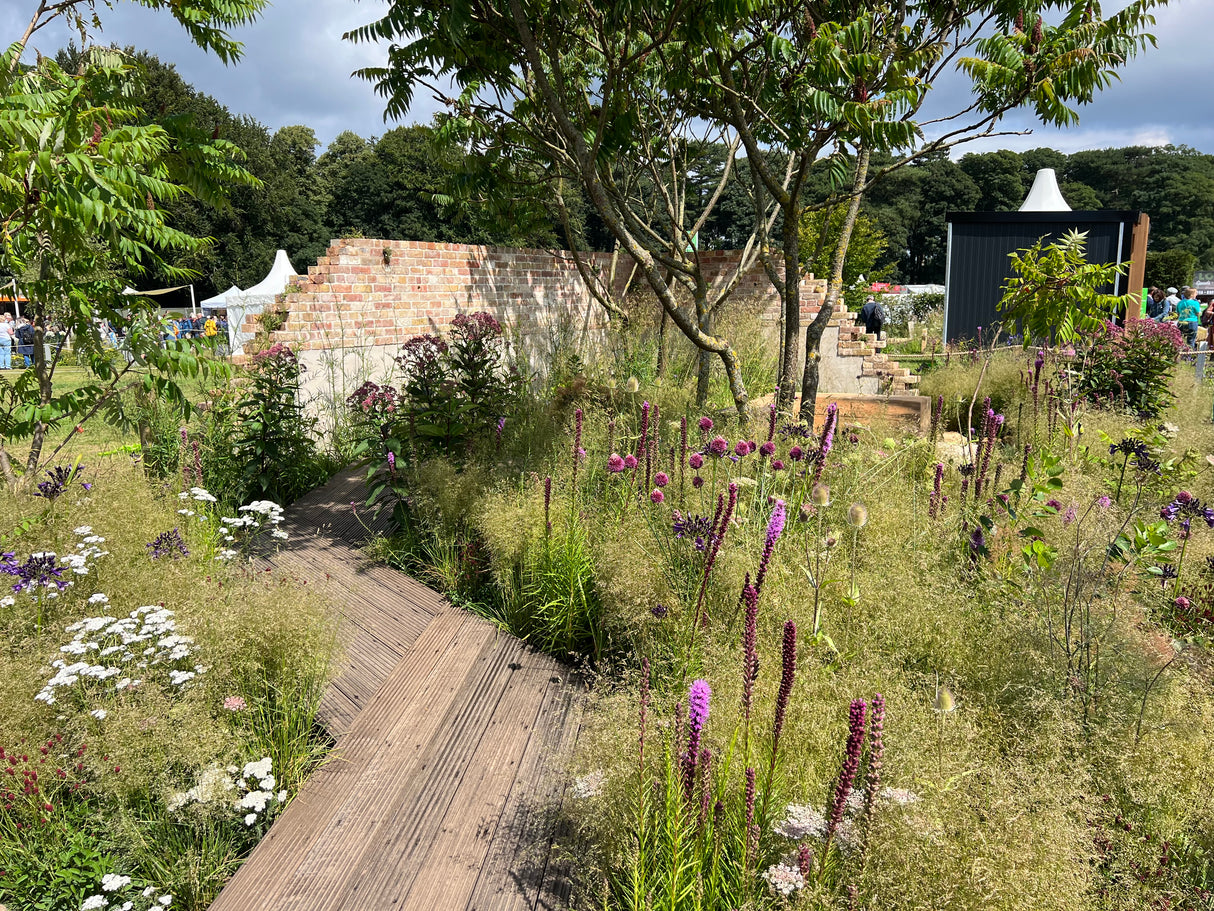 Seeking Resilience Garden, RHS Tatton Flower Show 2023 by Camellia Hayes