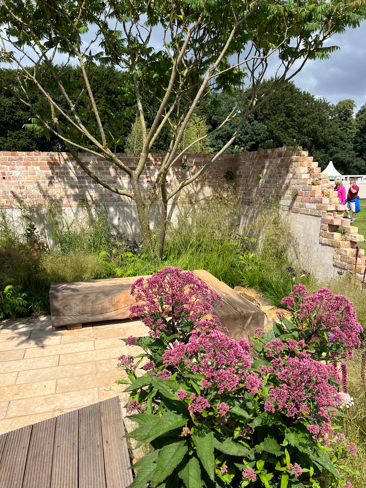 Seeking Resilience Garden, RHS Tatton Flower Show 2023 by Camellia Hayes
