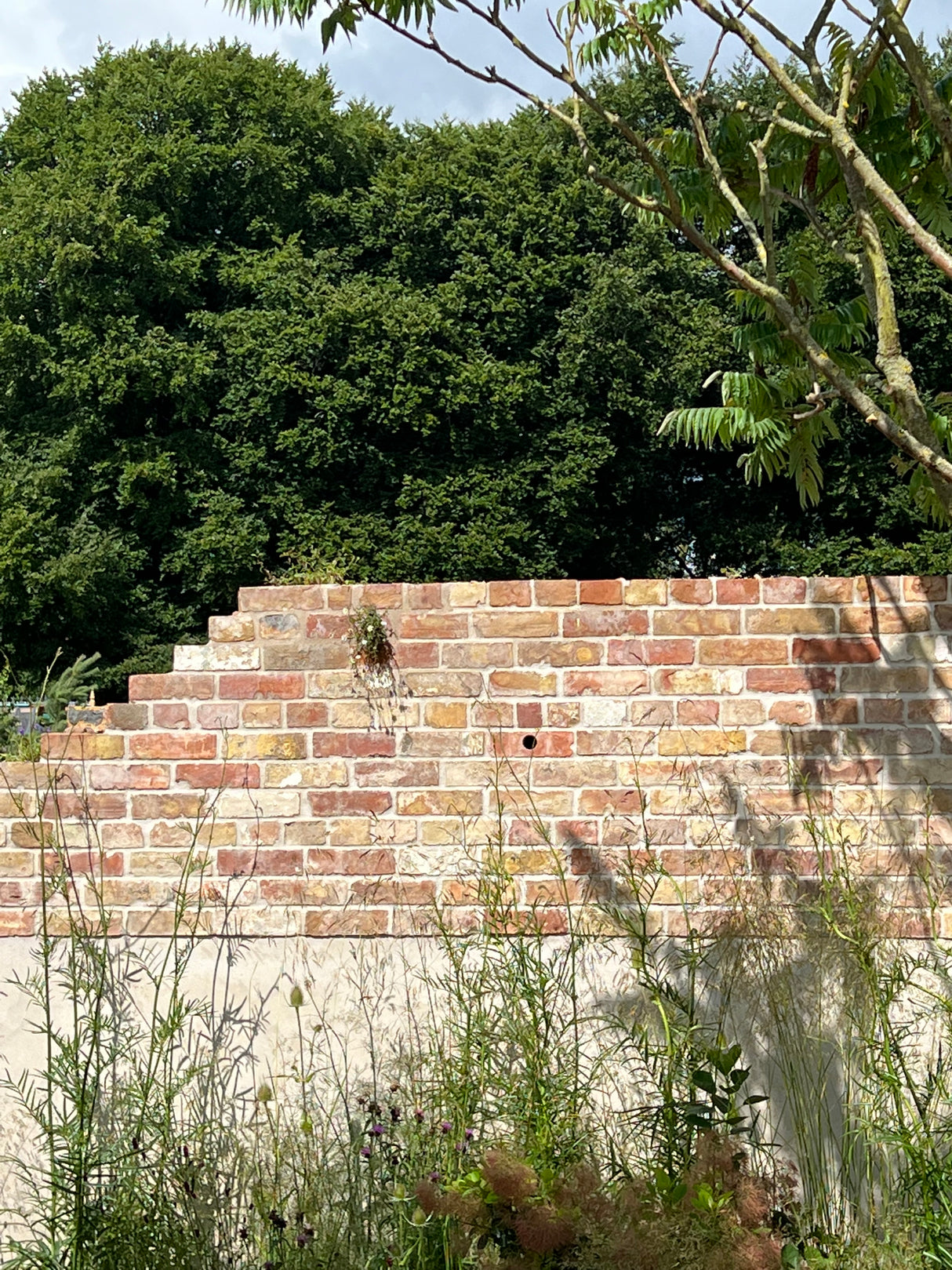 Seeking Resilience Garden, RHS Tatton Flower Show 2023 by Camellia Hayes