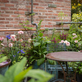Garden scene with flowers, plants, and a table against a brick wall.