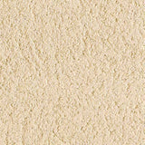 Portland Lime Mortar
