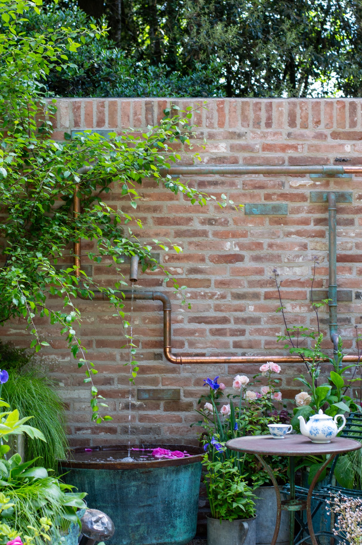 The Whittard of Chelsea Garden - Chelsea Flower Show 2026