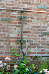 The Whittard of Chelsea Garden - Chelsea Flower Show 2026