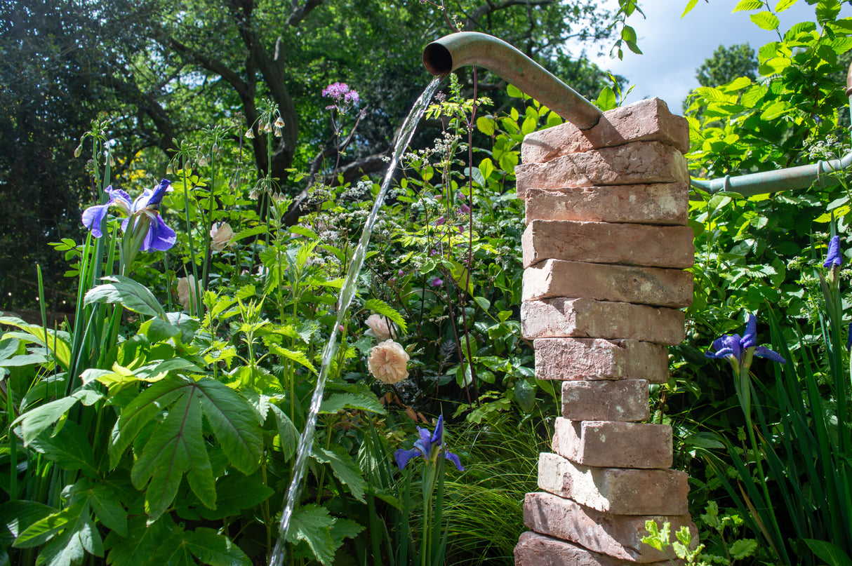 The Whittard of Chelsea Garden - Chelsea Flower Show 2026