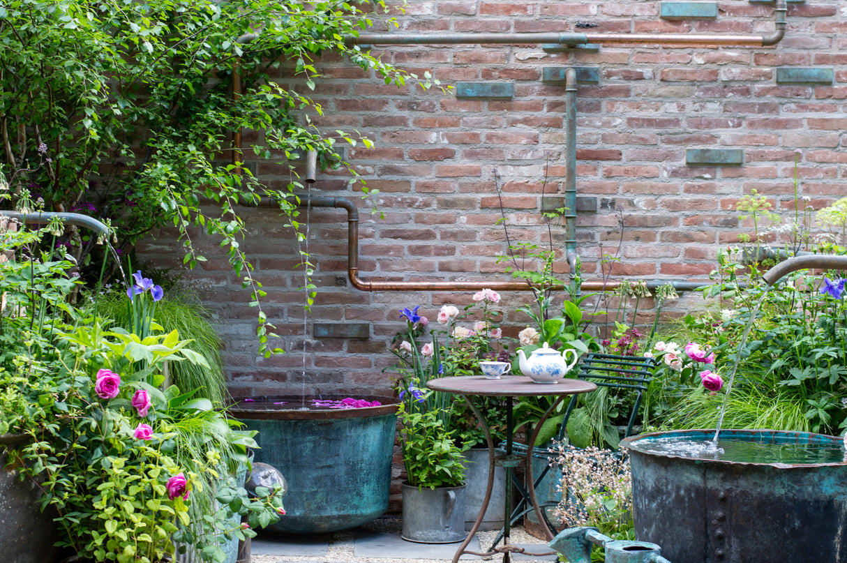 The Whittard of Chelsea Garden - Chelsea Flower Show 2026