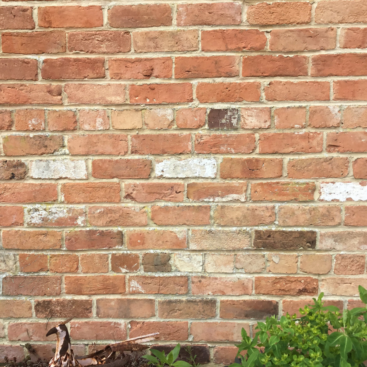 Reclaimed Nottingham Wirecut Imperial Bricks | Pack of 250 Bricks | Free Delivery