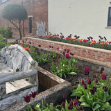 Reclaimed Industrial Blend Imperial Bricks | Pack of 250 Bricks | Free Delivery