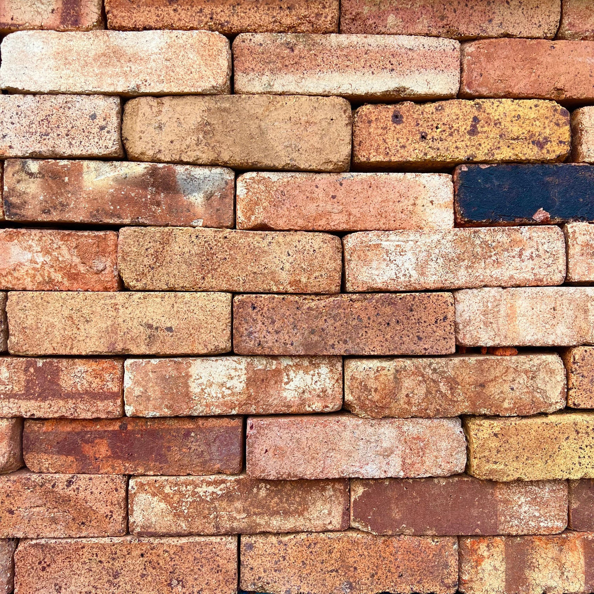 Reclaimed 2 1/2” Yellow Blend Imperial Bricks | Pack of 250 Bricks | F ...