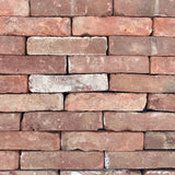 pack of 250 reclaimed paving brick 