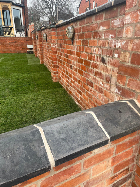 Reclaimed Cafferata Brick Garden Wall with Feature Blue Coping, Nottingham, Nottinghamshire - Reclaimed Brick Company
