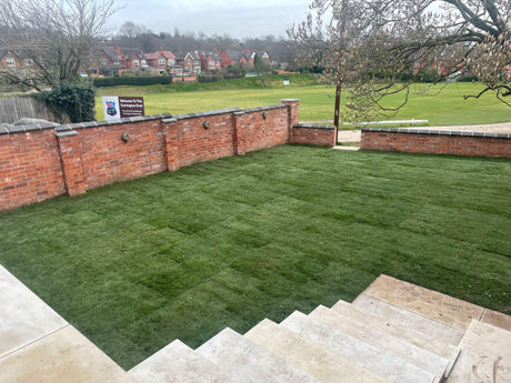 Reclaimed Cafferata Brick Garden Wall with Feature Blue Coping, Nottingham, Nottinghamshire - Reclaimed Brick Company