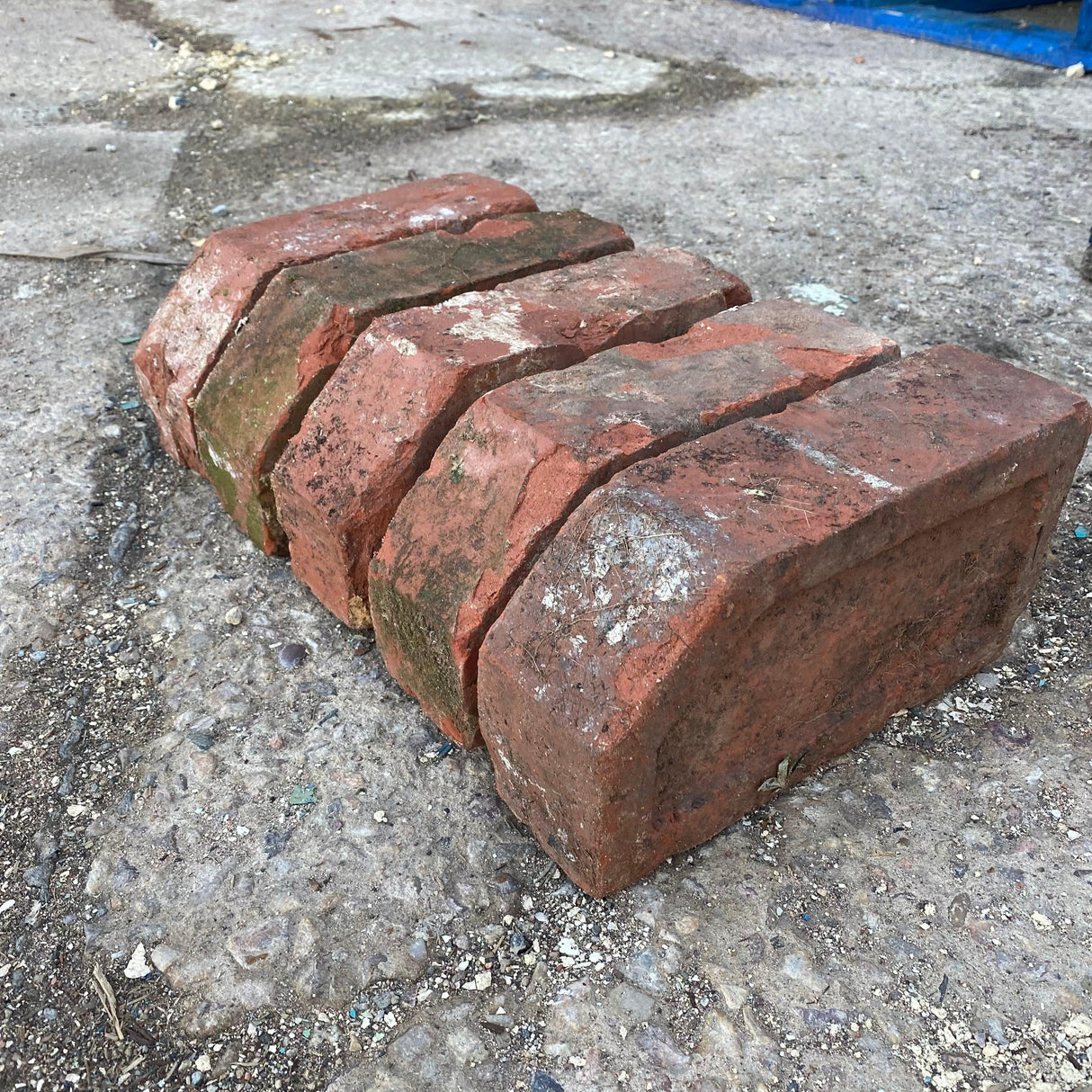 Reclaimed Red Single Cant Bricks - Reclaimed Brick Company