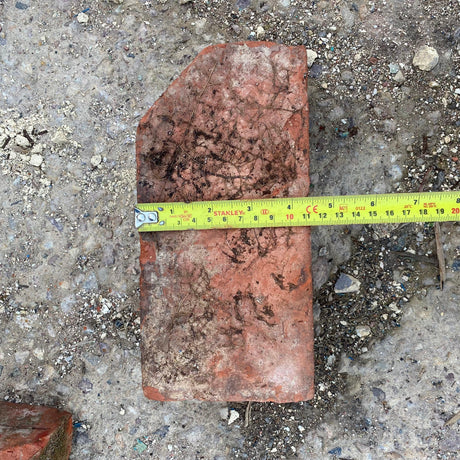 Reclaimed Red Single Cant Bricks - Reclaimed Brick Company