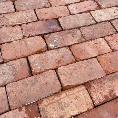 Red Tudor Paving Bricks | Pack of 250 Bricks - Reclaimed Brick Company