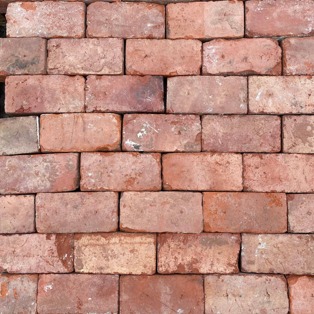 Old Reclaimed Red Tudor Paving Bricks | Pack of 250 Bricks - Reclaimed Brick Company