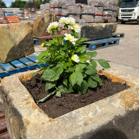 Reclaimed Stone Trough / Planter - No.13 - Reclaimed Brick Company