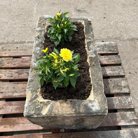 Reclaimed Stone Trough / Planter - No.17 - Reclaimed Brick Company