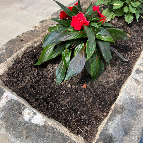 Reclaimed Stone Trough / Planter - No. 2 - Reclaimed Brick Company