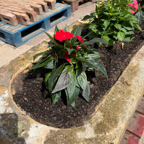 Reclaimed Stone Trough / Planter - No. 3 - Reclaimed Brick Company