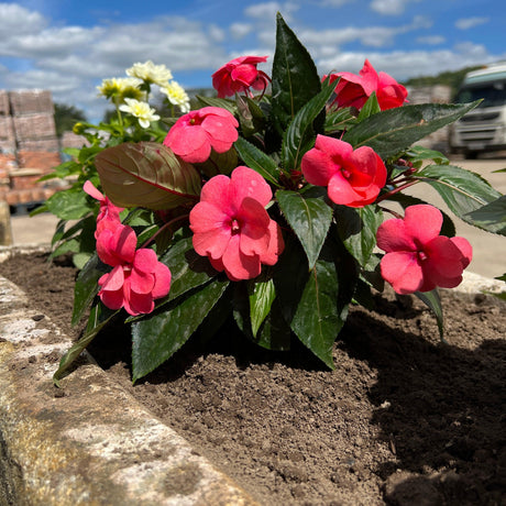 Reclaimed Stone Trough / Planter - No. 4 - Reclaimed Brick Company