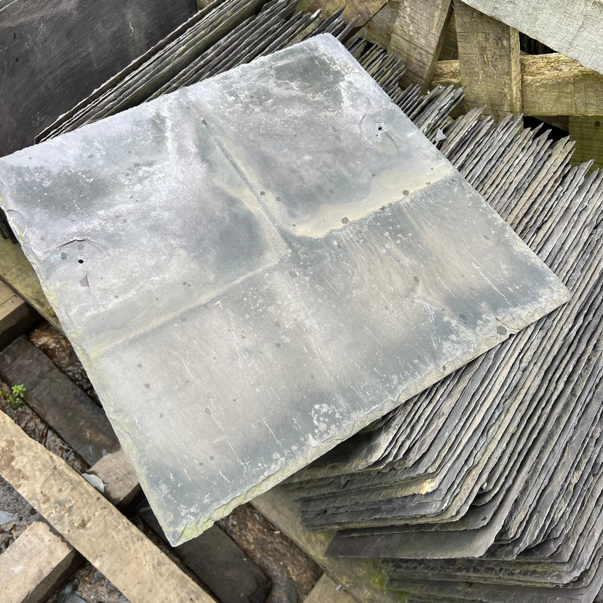 Reclaimed Welsh Blue 14” x 14” Roofing Slate - Each - Reclaimed Brick Company