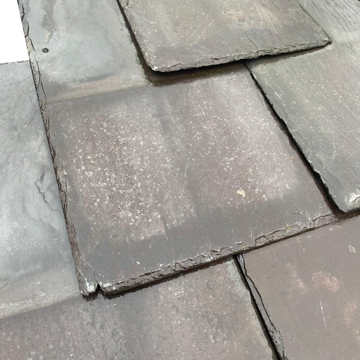 Reclaimed Welsh Blue 16” x 8” Slates - Reclaimed Brick Company