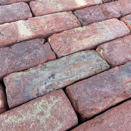 Reclamation Tumbled Multi Brick - Reclaimed Brick Company