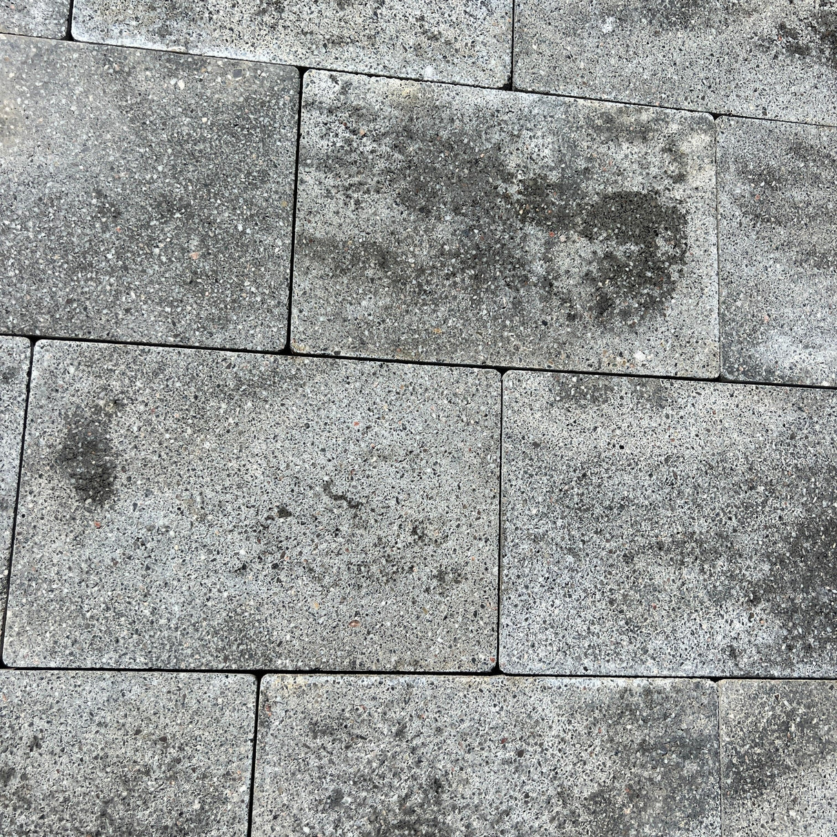 New Lucida Grey Commercial Paving Slabs - Reclaimed Brick Company